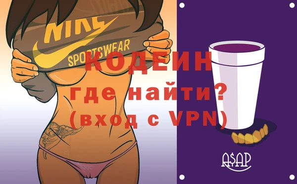 прущие грибы Елабуга