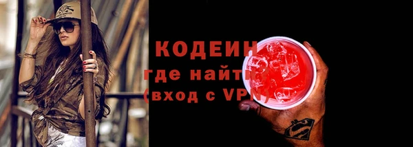 прущие грибы Елабуга