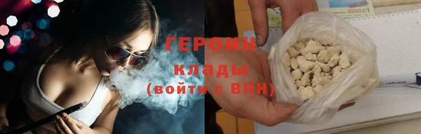 прущие грибы Елабуга
