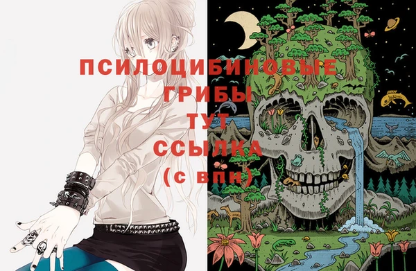 гидропоника Дмитриев