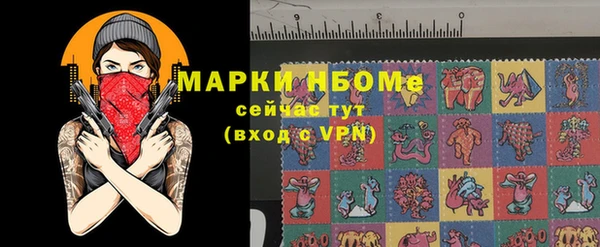 прущие грибы Елабуга
