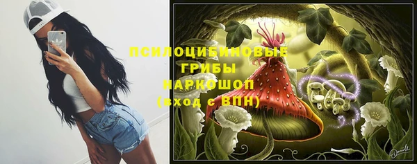 сатива Дмитров