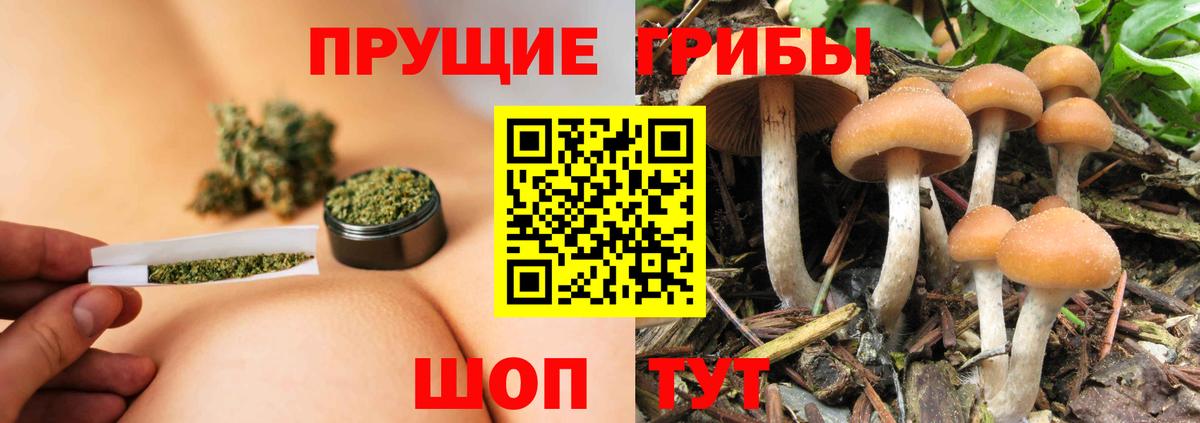 МЕФ   МАРИХУАНА  Вход с VPN  Евпатория  ГАШИШ  Кокаин 